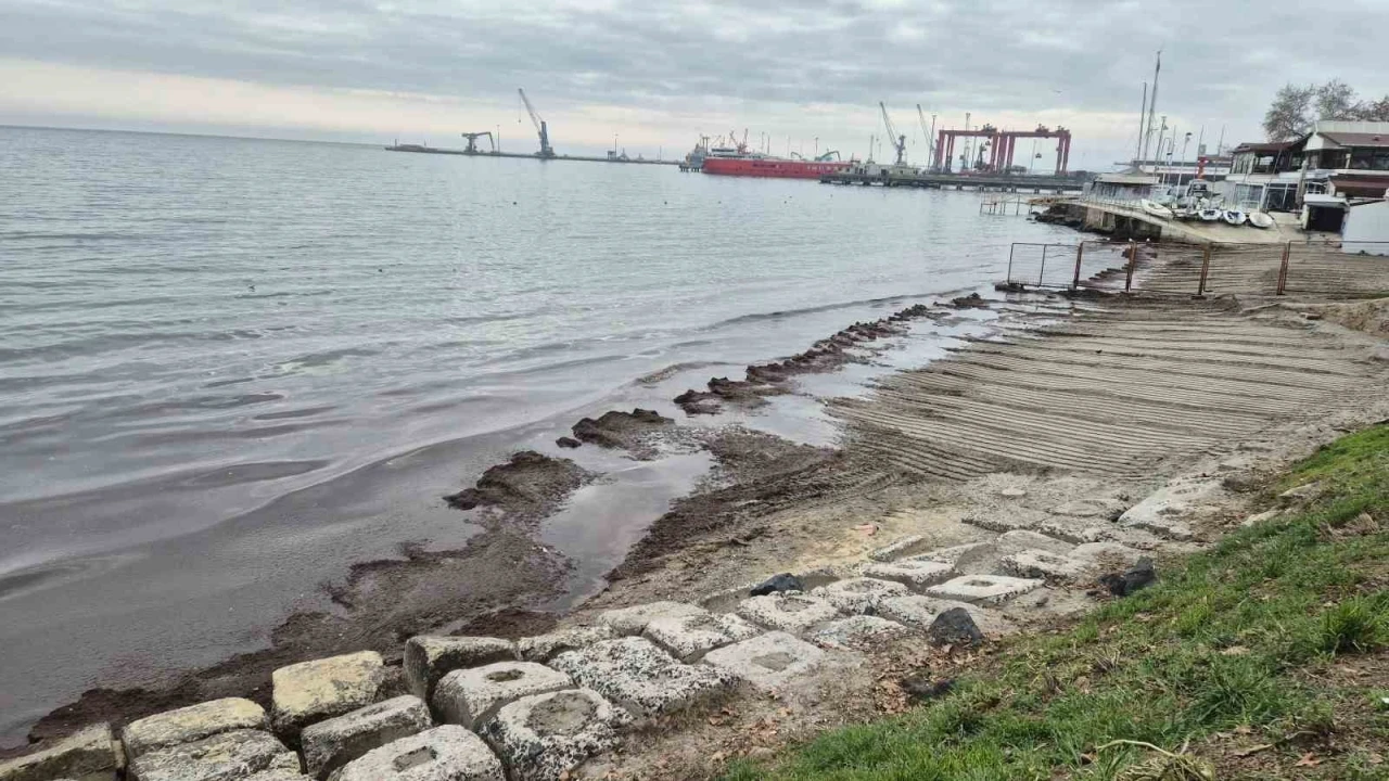 Marmara Denizi kıyılarında kızıl yosunlar birikti
