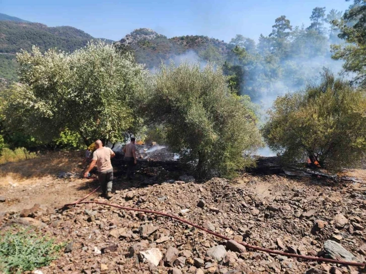 Hızlı Müdahaleyle Marmaris Orman Yangını Söndürüldü