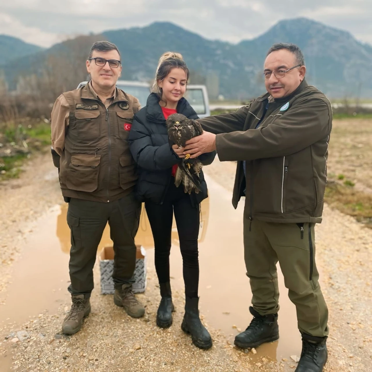 Menteşe’de Yaralı Şahin İçin Hızlı Müdahale