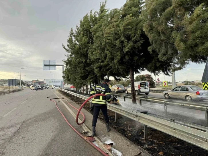 Mersin’de refüjdeki ağaçlar yandı
