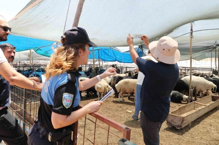 Mersin polisi kurbanlık satış alanlarında vatandaşları uyardı
