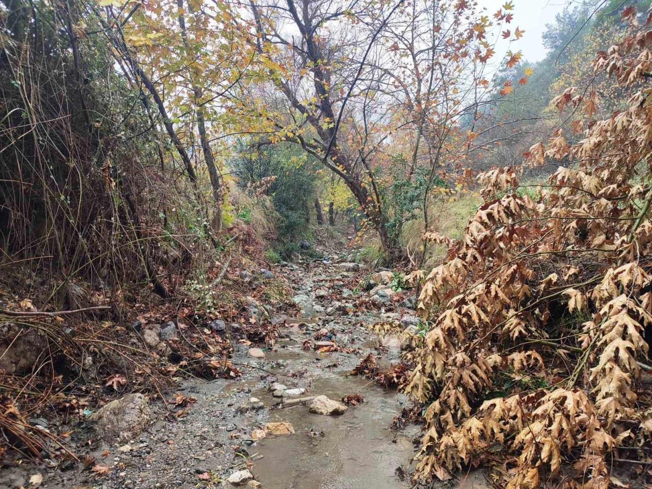 Mesir Tabiat Parkında eşsiz manzaralar
