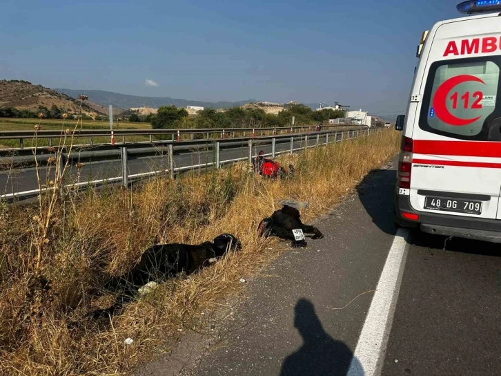 Rus Fenomen İçin Yardım Kampanyası Başlatıldı