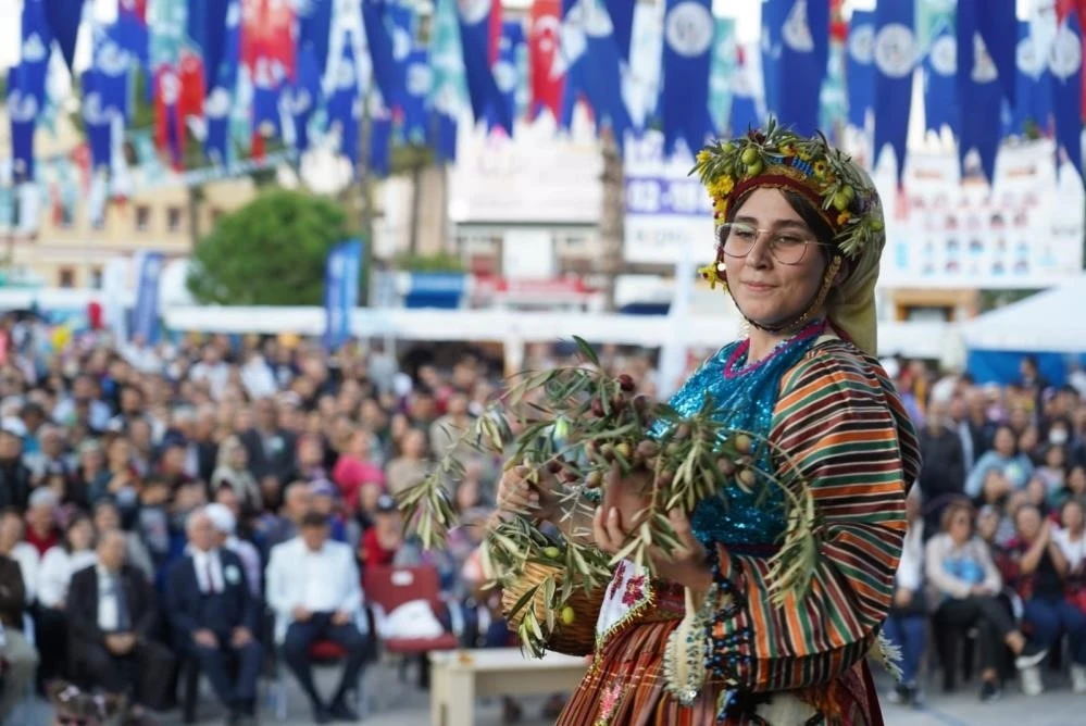 Milas Zeytin Hasat Şenliği Başlıyor