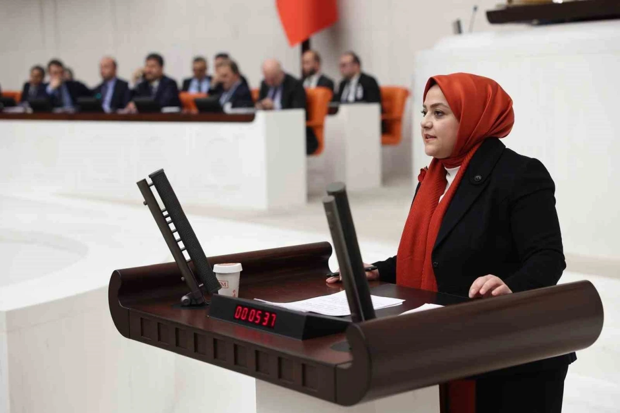 Milletvekili Ün: &quot;Atanmış kişilere bu derece yetki tanınması siyasi suistimallere neden olabilir&quot;
