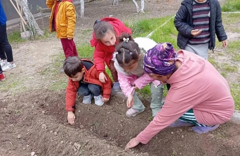 Minik eller tohumları toprakla buluşturdu
