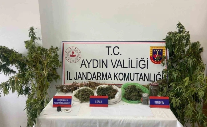 Mısır tarlasına uyuşturucu ekti, jandarmadan kaçamadı
