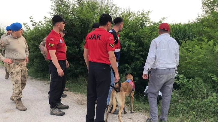 Mısır tarlasında kaybolan bir kişi özel eğitimli köpeklerle aranıyor
