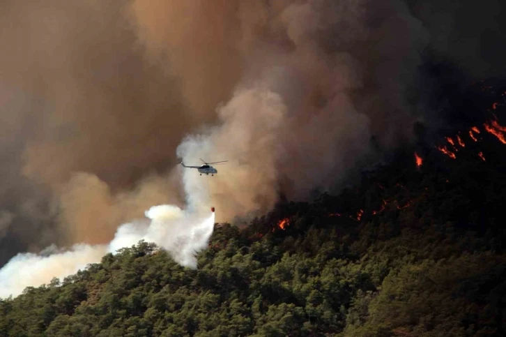 Muğla’da 31 Ekim’e kadar ormanlara giriş yasaklandı
