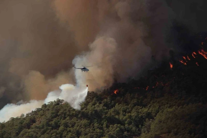 Muğla’da 385 orman yangınında bin 148 hektar alan yandı