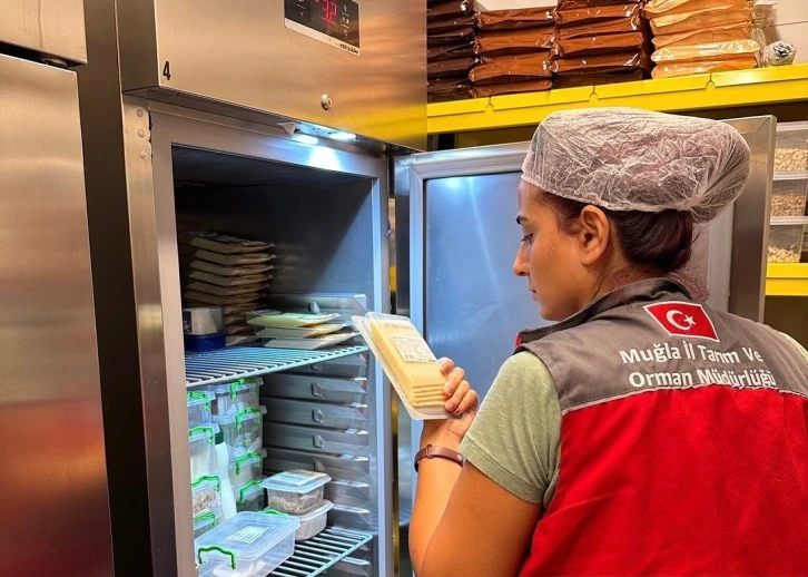 Muğla'da Eş Zamanlı Gıda Denetimleri Yapıldı