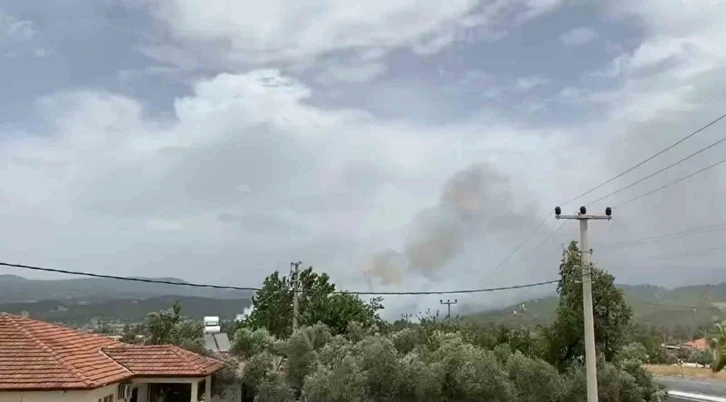 Muğla’da orman yangını başladı
