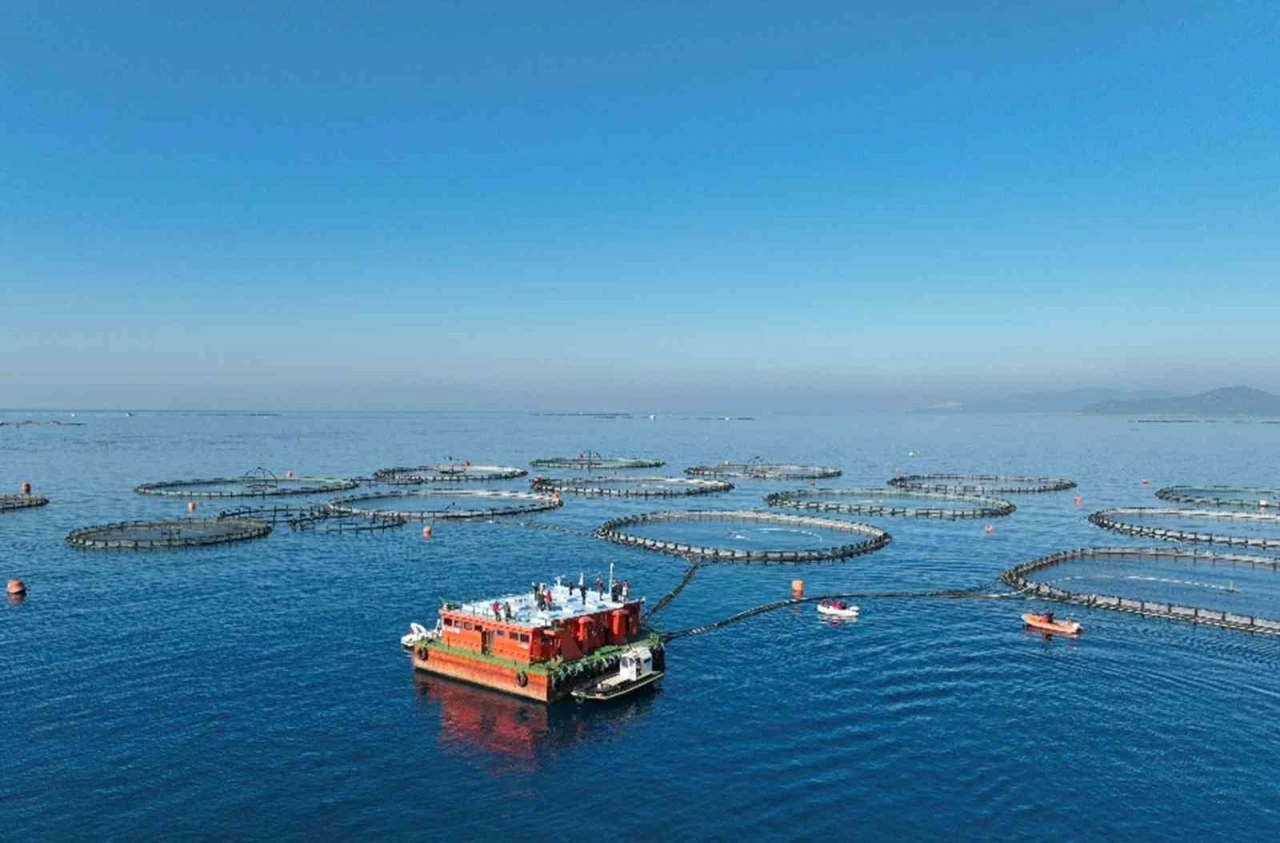 Muğla Su Ürünleri İhracatında Yeni Bir Rekor!