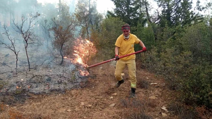 Muğla’daki orman yangınları ile mücadele 5 saattir sürüyor
