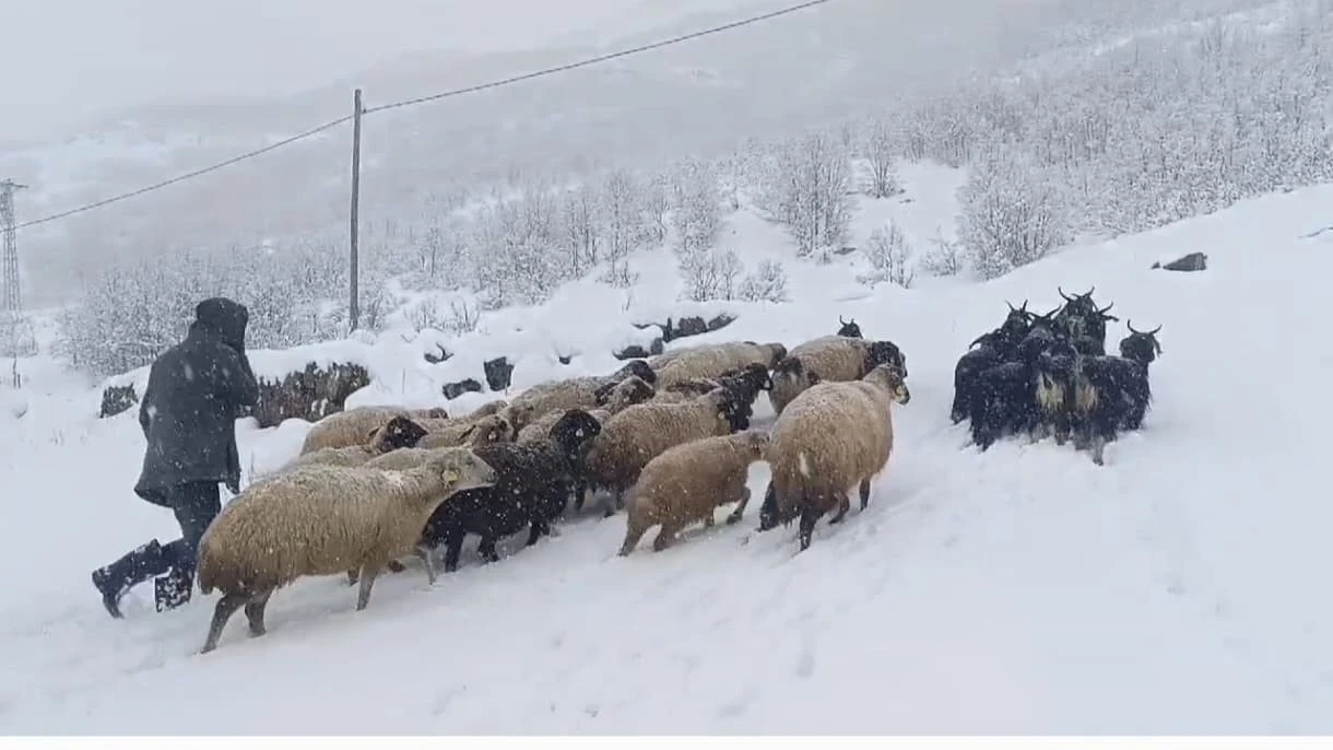 Muş’ta kar yağışı çiftçilerin hayatını olumsuz etkiledi
