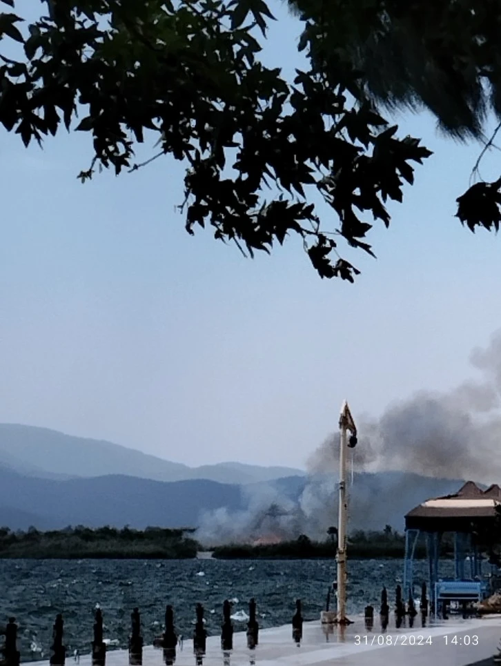 MUĞLA’DAKİ SAZLIK YANGINI SÖNDÜRÜLDÜ