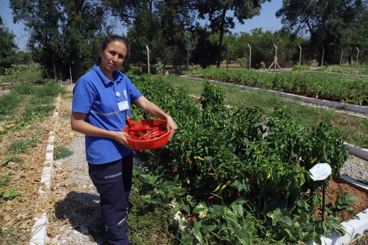 TÜRKİYE’NİN 81 İLİNE ÜCRETSİZ  YEREL TOHUM DAĞITILACAK