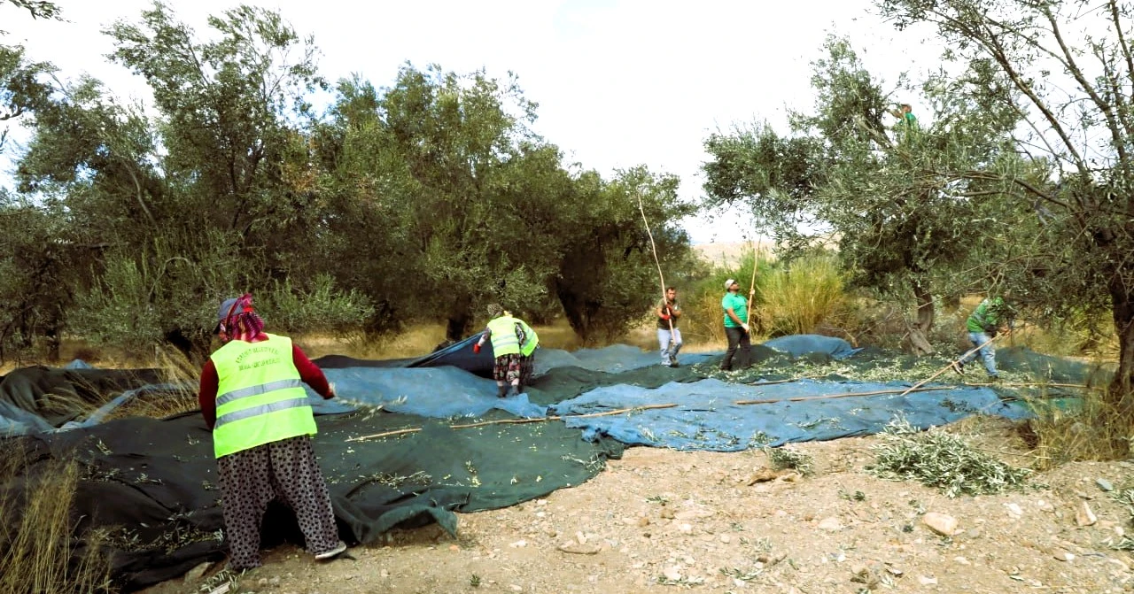 MUĞLA, TURİZMDE OLDUĞU GİBİ TARIMDA DA ÖNCÜ