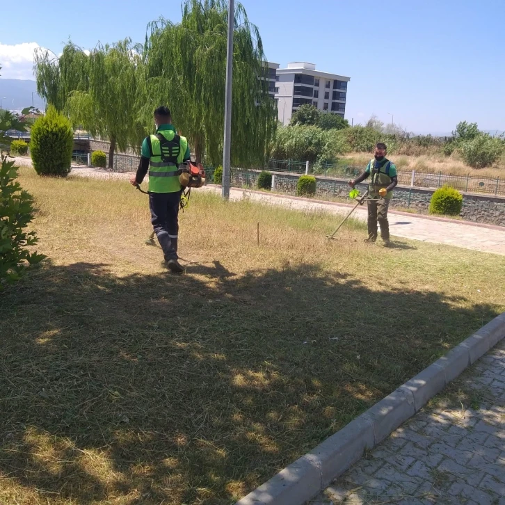 Nazilli Belediyesi, yeşil alanları bakıma aldı
