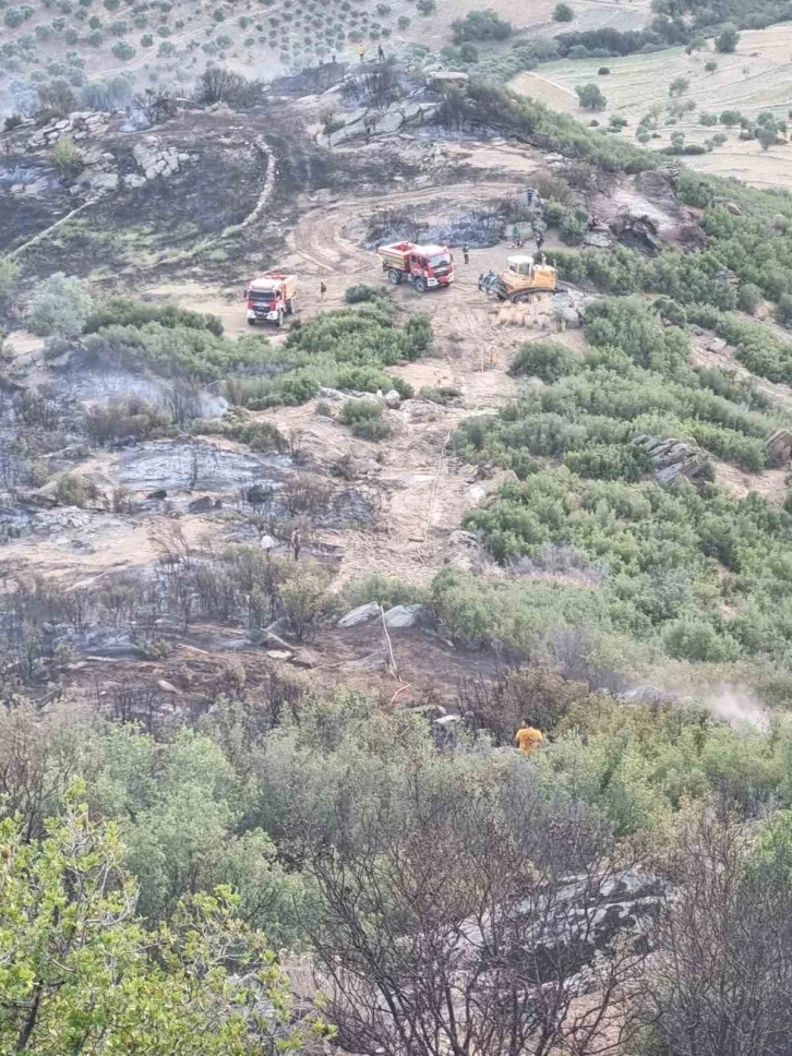 Nazilli'deki Makilik Yangını 8 Saatte Söndürüldü