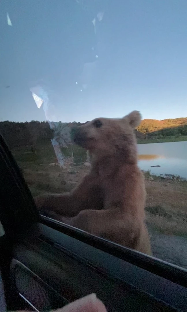 Nemrut’ta korku dolu anlar
