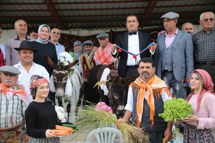 Nesli tükenmesin diye eşeklere sembolik düğün
