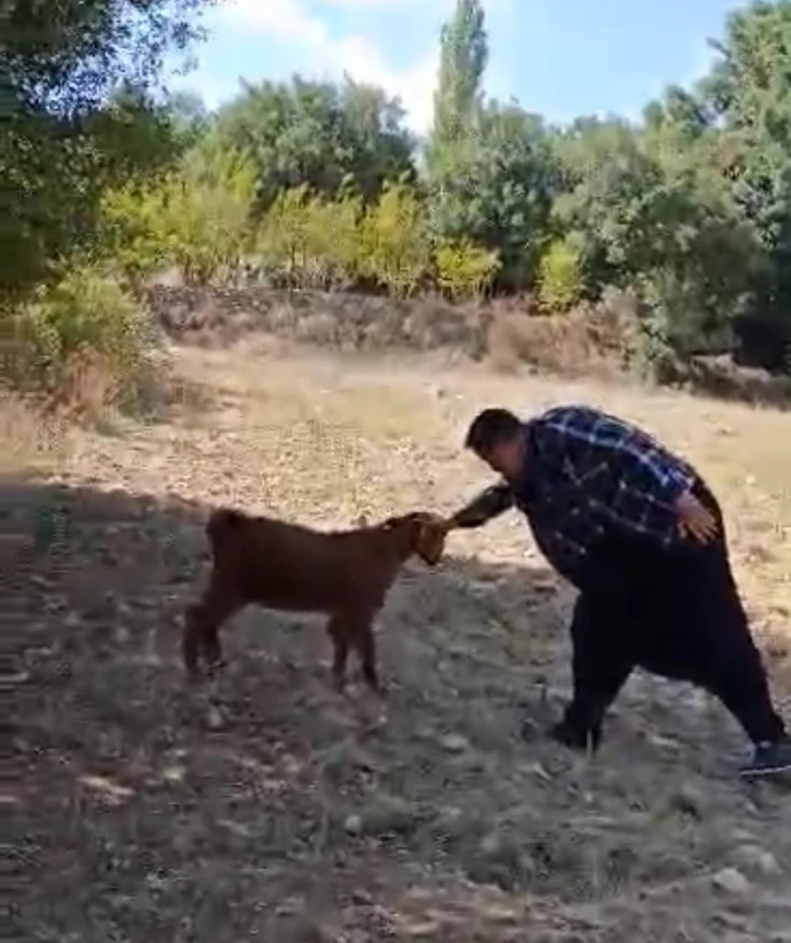 Oğlak ile oyun oynayarak keyifli anlar yaşadı
