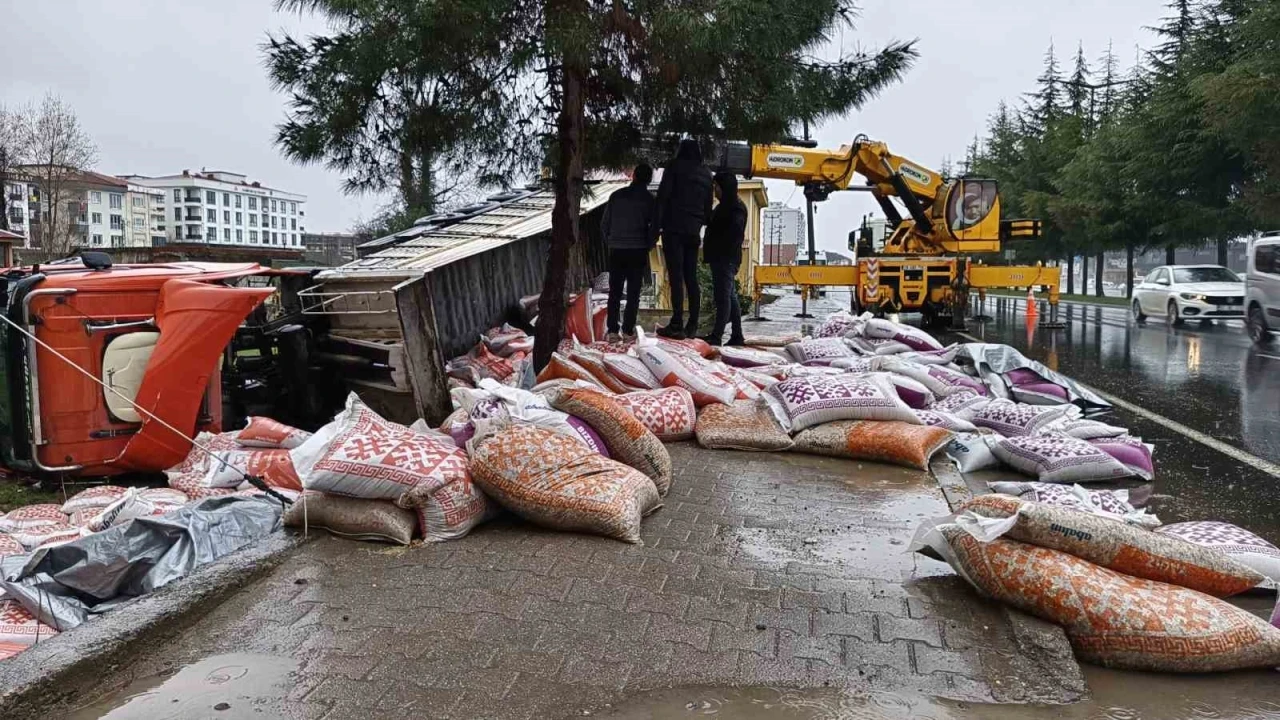 Ordu’da besi yemi yüklü tır devrildi: 1 yaralı
