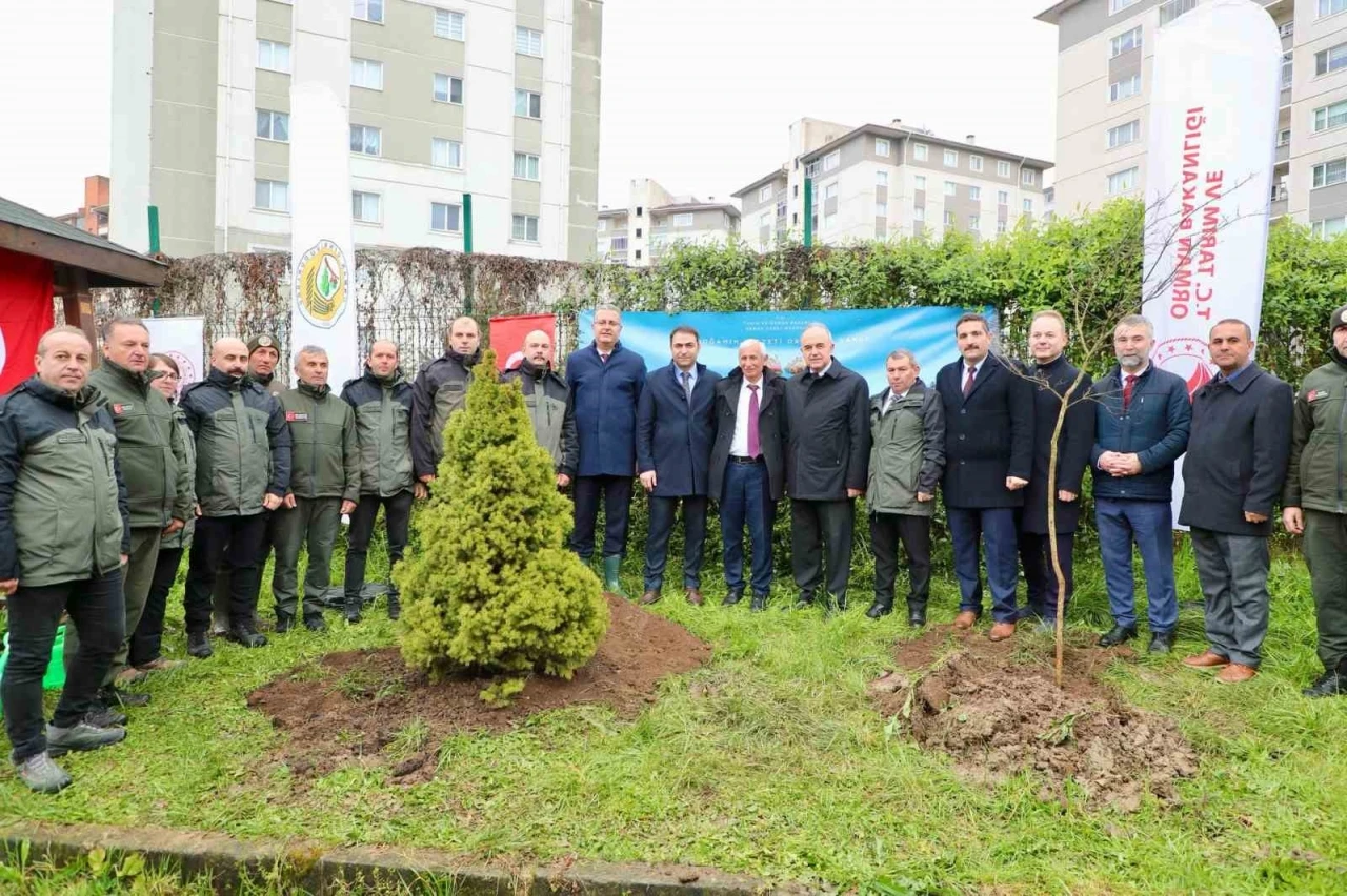 Ordu’da fidanlar toprakla buluşturuldu
