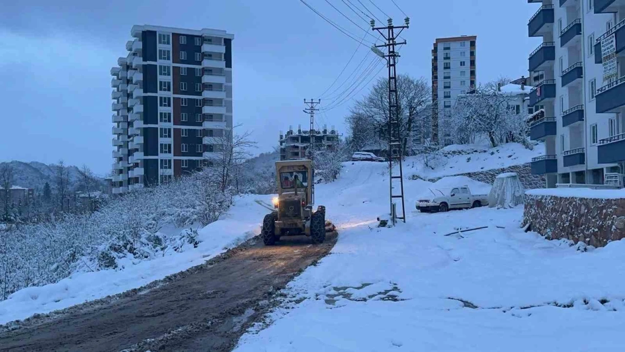 Ordu’da karla mücadele sürüyor
