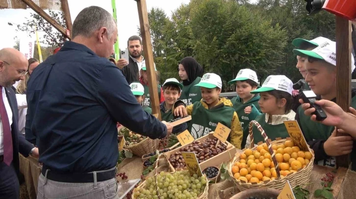 Ormanya’da üretilen kızıl geyikler doğaya salındı
