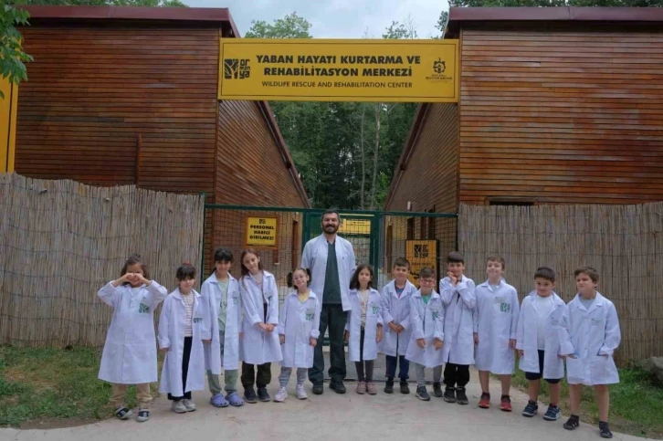 Ormanya’da yaz okulu başlıyor
