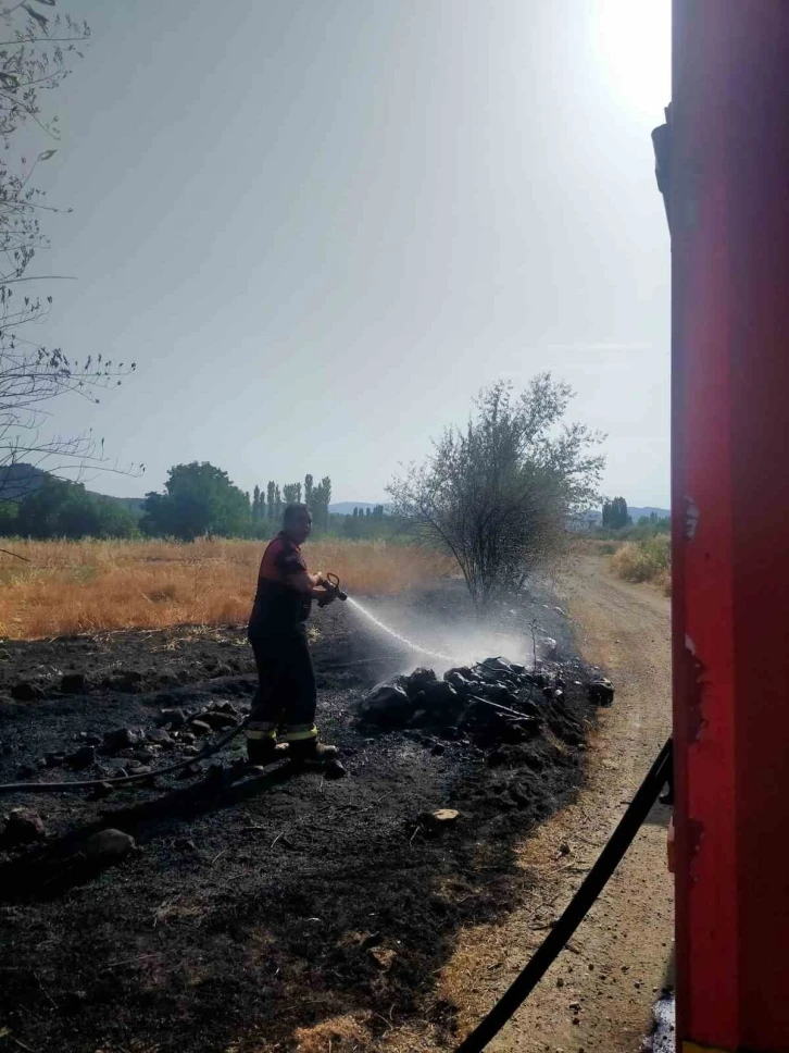Osmancık’taki örtü yangınında ağaçlar zarar gördü
