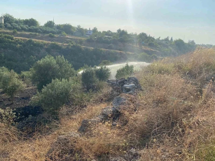 Osmaniye’de çıkan anız yangını zeytin bahçesine sıçradı
