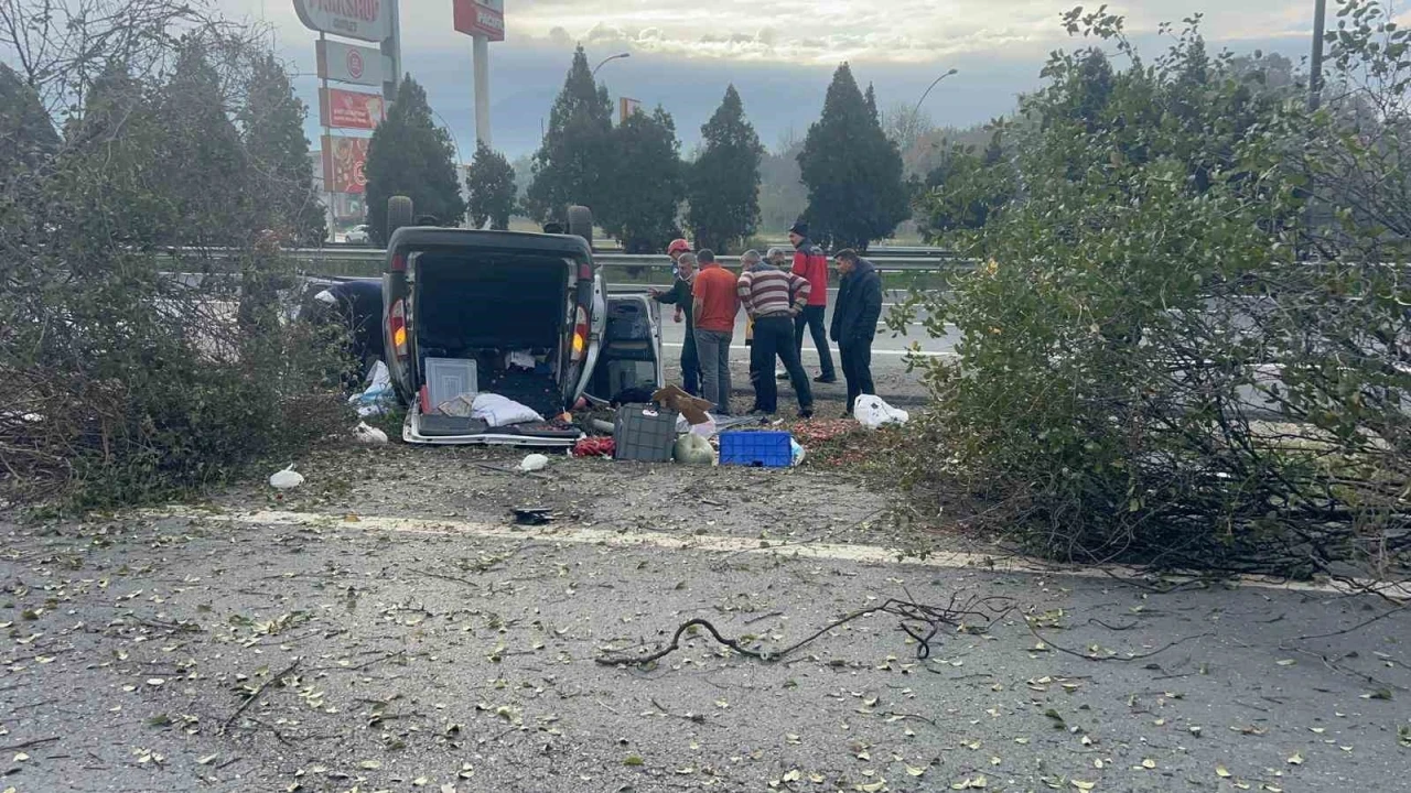 Otoyolda kontrolden çıkan araç 3 ağacı biçti: 2 yaralı
