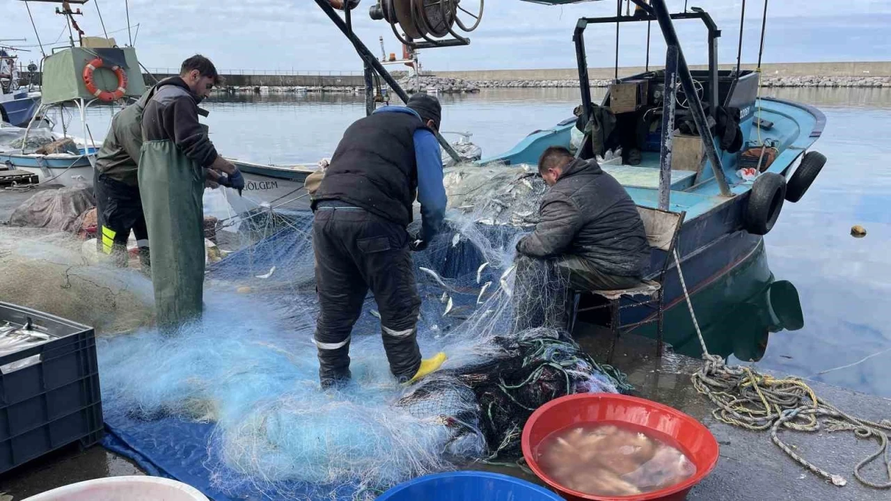 &quot;Al da Gel&quot; teknesiyle denize açıldılar 2 ton lüferi alıp geldiler
