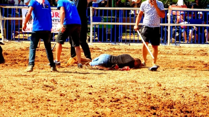 Boğa Güreşi Festivalinde Talihsiz Olay