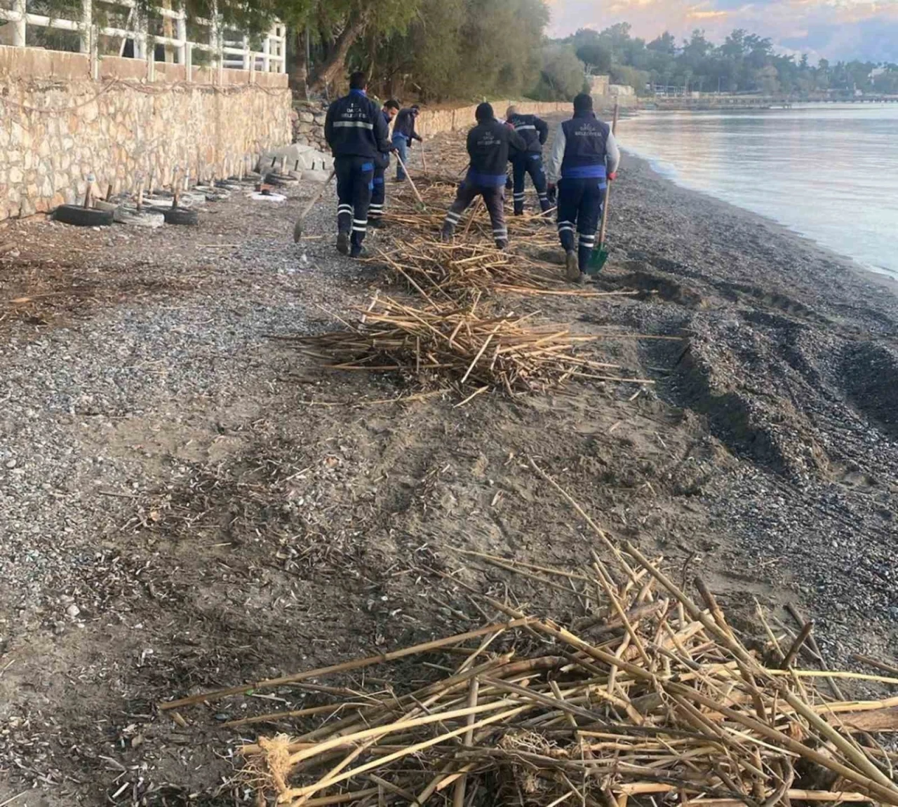 Rodos’un pisliği Datça’yı vurdu
