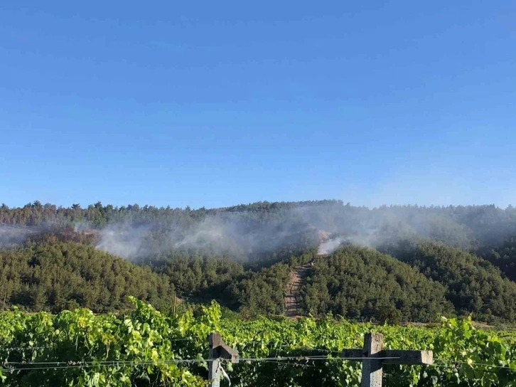 Sakarya’da ormanlık alanda çıkan yangına havadan ve karadan müdahale
