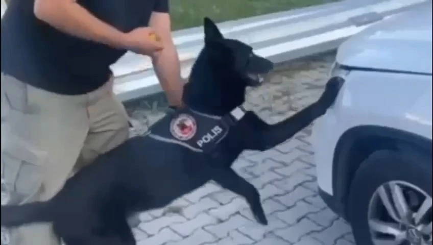 Samsun’da narkotik dedektör köpeği 1 kilo metamfetamini buldu
