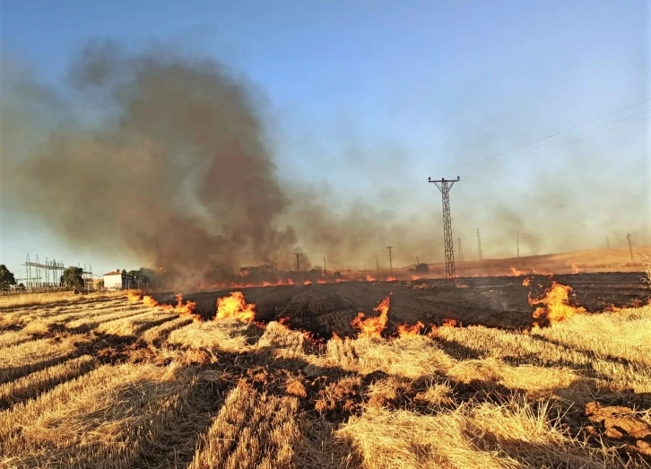 Şanlıurfa’da 16 mahalle anız yüzünden elektriksiz kaldı
