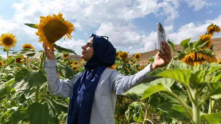 Sarı altın görsel şölen oluşturdu!
