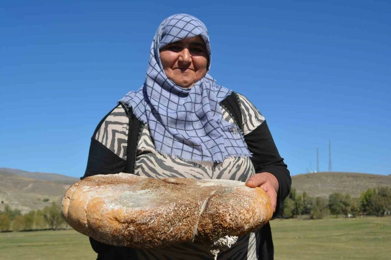 Sarıkamış’ta üretilen peynir işkembeye dolduruluyor
