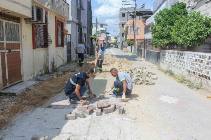 Seyhan Belediyesi sokakları sağlıklaştırıyor
