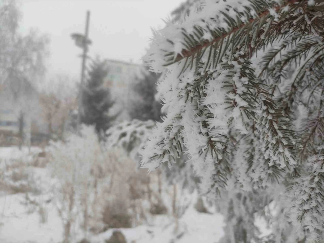 Sibirya soğukları Ardahan’ı dondurdu
