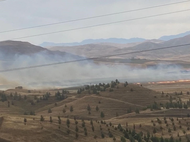 Siirt Havaalanı yakınlarında anız yangını
