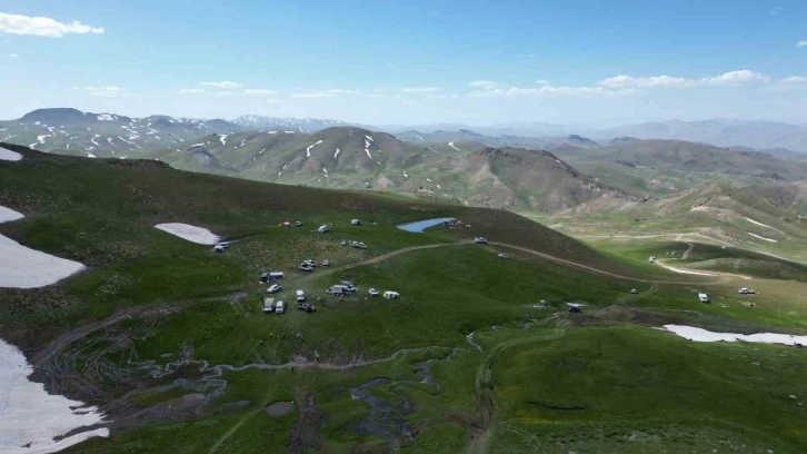 Şırnak dağları sarıya büründü
