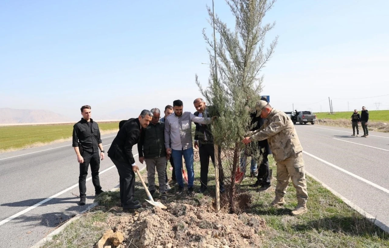 Şırnak Şerafettin Elçi Havalimanı’nda ağaçlandırma çalışması
