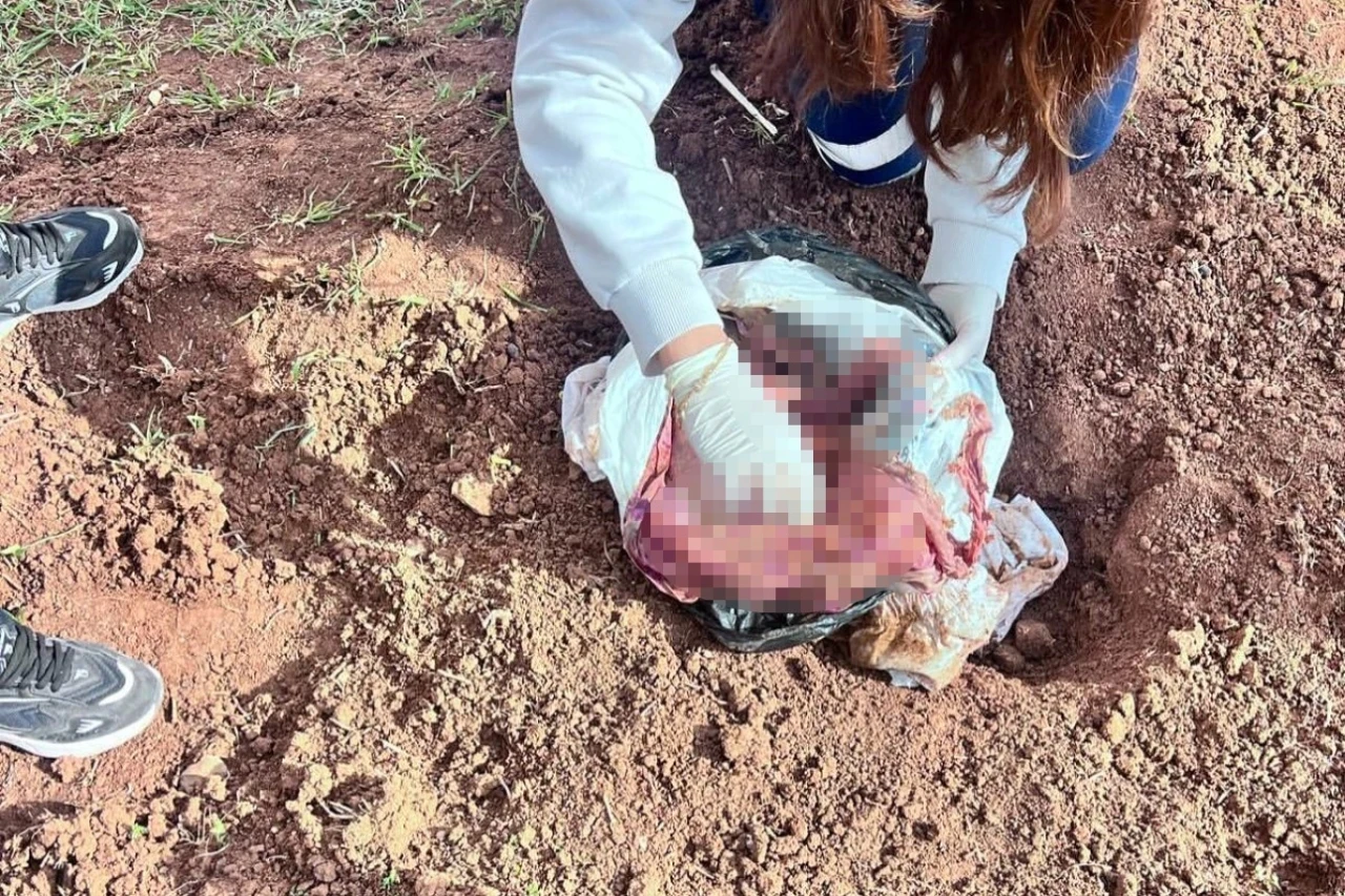 Şırnak’ta bebek cinayetine 2 tutuklama
