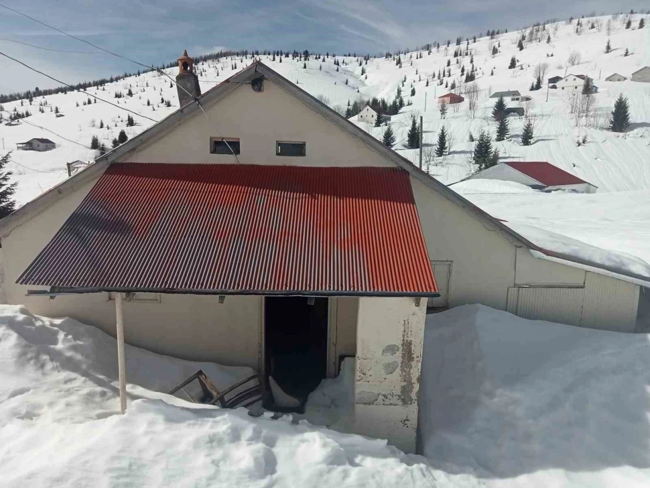 Sis Dağı Yaylası’nda çığ faciası sonrası bu kez de ayı faciası yaşanıyor
